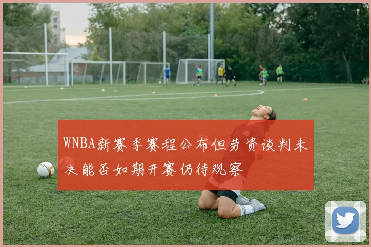WNBA新赛季赛程公布但劳资谈判未决能否如期开赛仍待观察