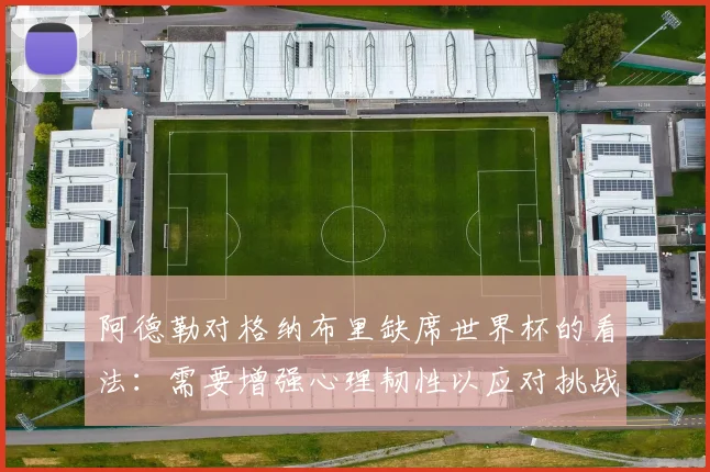 阿德勒对格纳布里缺席世界杯的看法：需要增强心理韧性以应对挑战